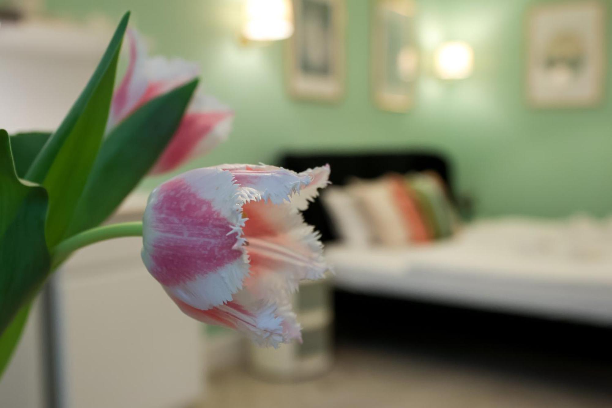 Ozone Silver&gold Apartman Budapest